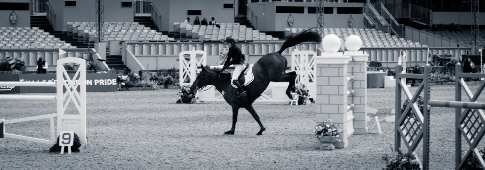 The Royal horse Show 2012 - 001